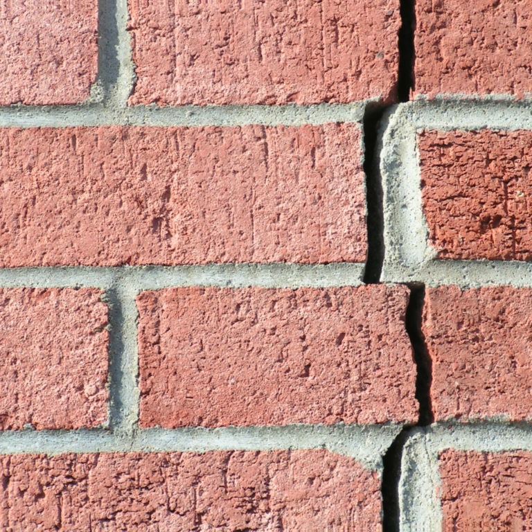 lezarde-dans-la-brique